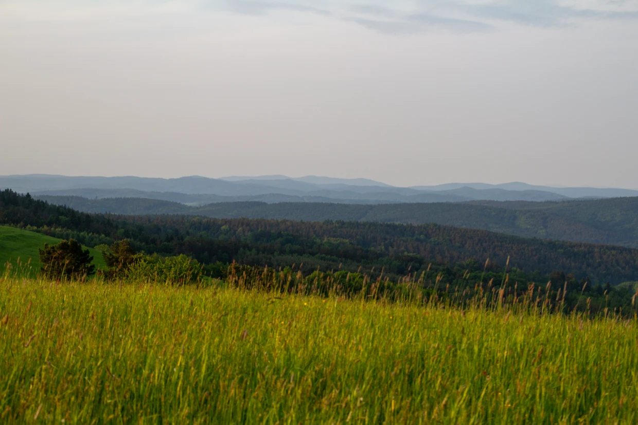 Fot. Michał Grzywa (6)