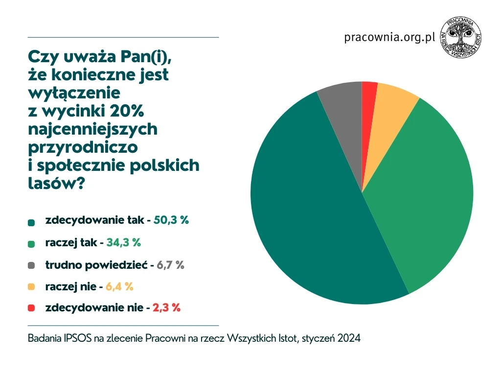 poparcie-dla-20procent