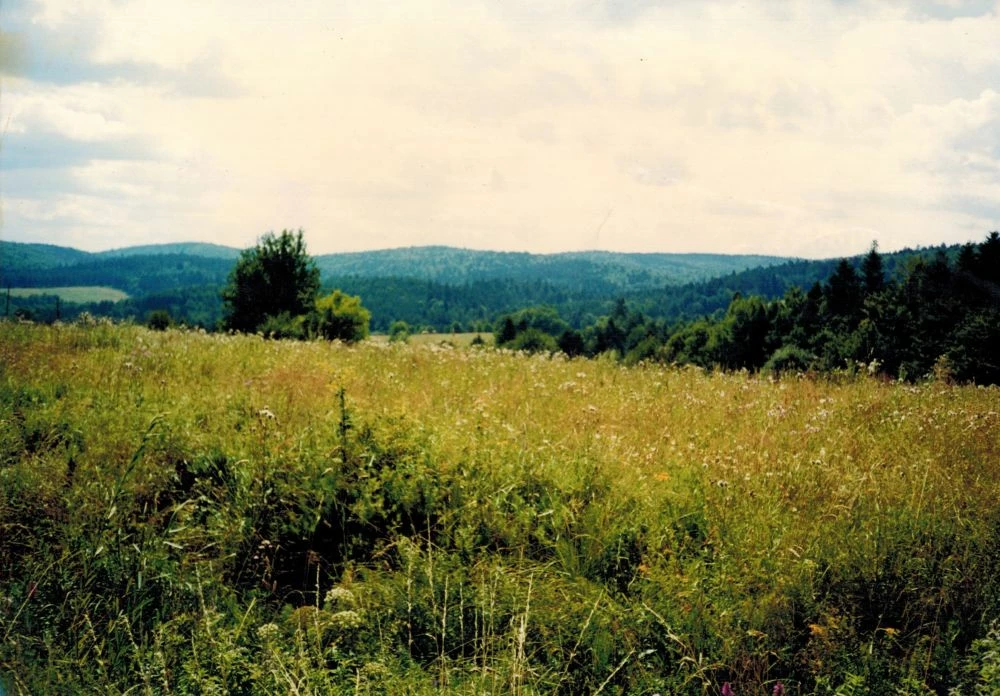 2022-07-07-Turnicki-Las-Karaszyn-od-strony-Kwaszeniny-1997-Fot.Grzegorz-Bozek