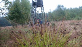 Dżdżysty poranek i herbata z termosu. Fot. Kamila Radzimińska-Arczak