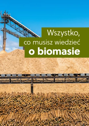 Biomasa-foldery-cover