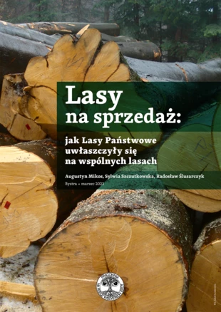 lasy_na_sprzedaz_raport