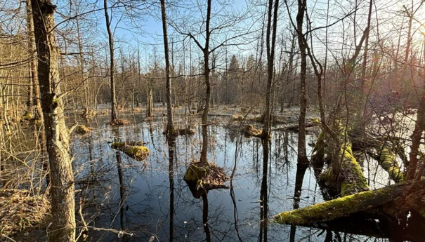 Fot. Michał Żmihorski-3