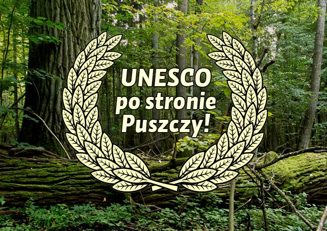 puszcza-unesco-po-stronie-puszczy-641x453.jpg