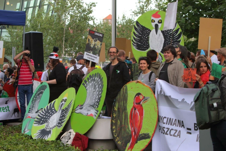 puszcza-krakow-2017-07-04-graff-0473-kadr.jpg