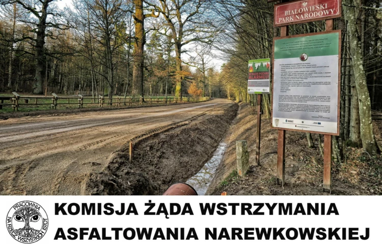 puszcz-narewkowska-komisjaue-674x440_1.jpg