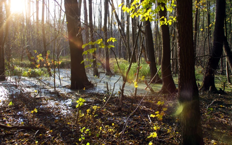 Na stronę SULU-pracownia (1200×900 px) (4)