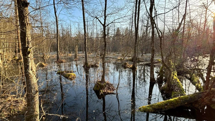 Fot. Michał Żmihorski-3