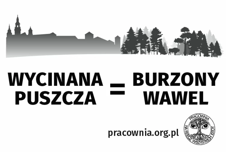 wycinana-puszcza-burzony-wawel-600px.jpg