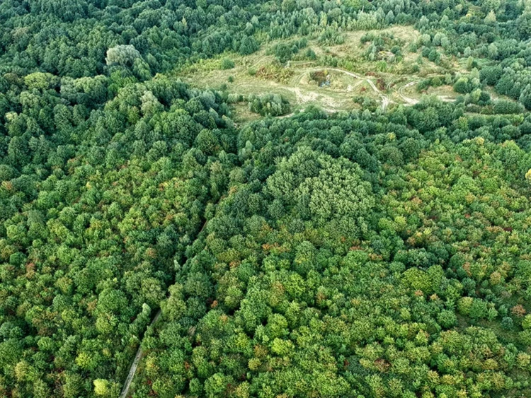 Sarni-Stok-decyzja-srodowiskowa-zabudowa