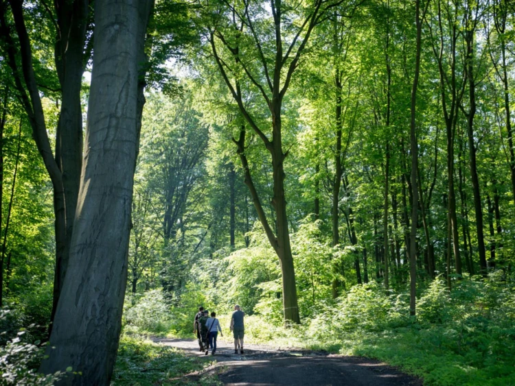 Zdjęcie na stronę www Pracowni (18)