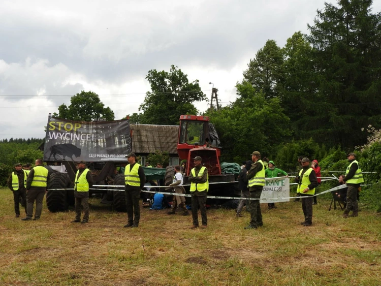 puszcza-blokada-2017-06-13-dscn3182.JPG