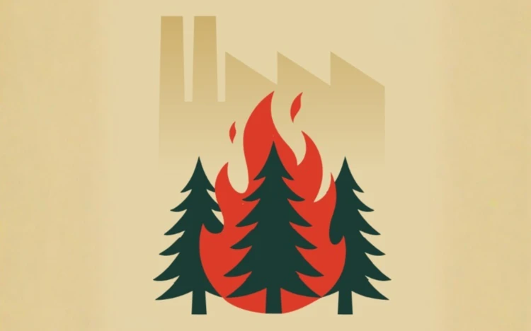 Biomasa drzewna w energetyce