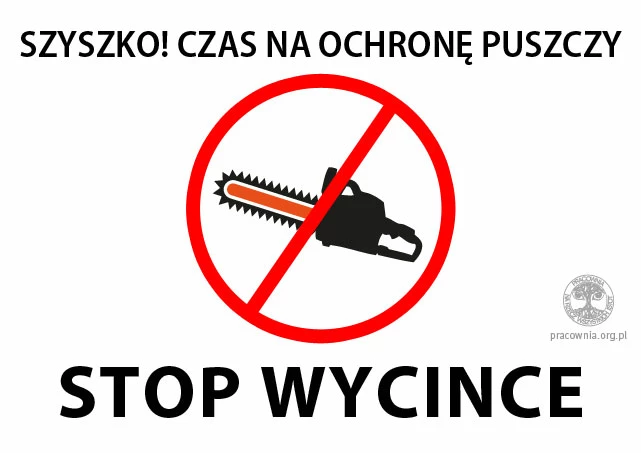 puszcza-szyszko-stop-wycince-2017-04.jpg