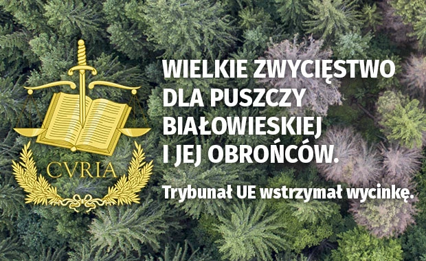 zwyciestwo-aktualnosci-puszcza.jpg