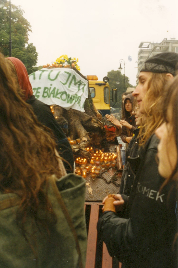 Puszcza Białowieska Warszawa, 1994, pień