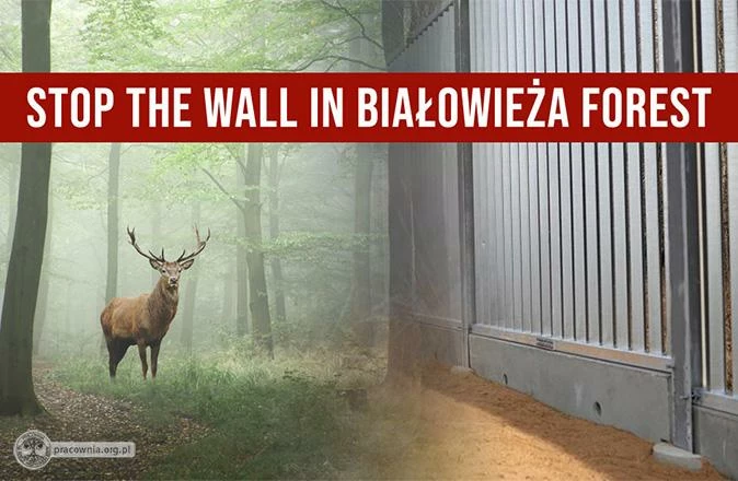 bialowieza-stop-the-wall-674x440.jpg