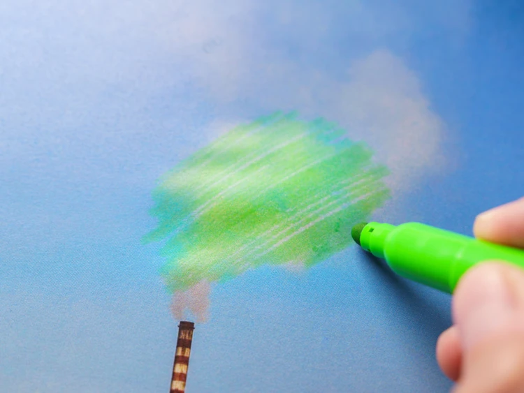 Greenwashing Carbon Removal