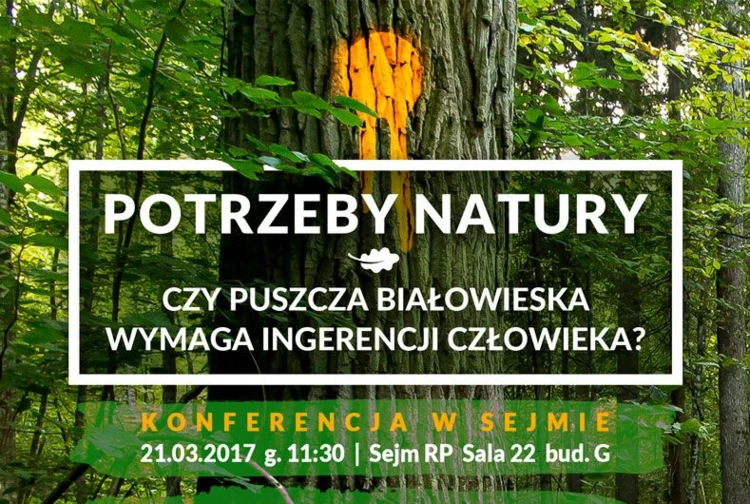 konferencja-puszcza-bialowieska-sejm-2017-kadr.jpg