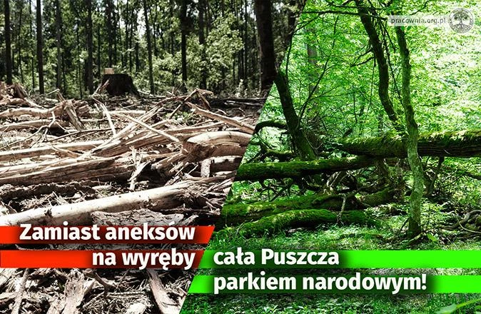 puszcza-aneksy-674x440px.jpg