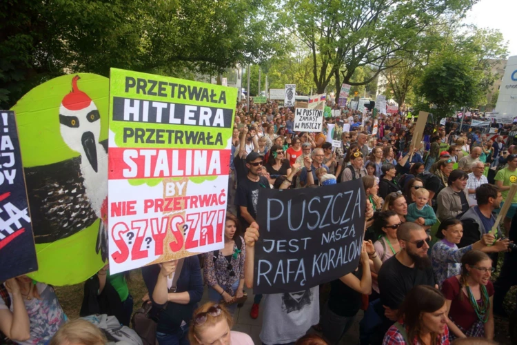 puszcza-krakow-2017-07-04-graff-5934-kadr.jpg
