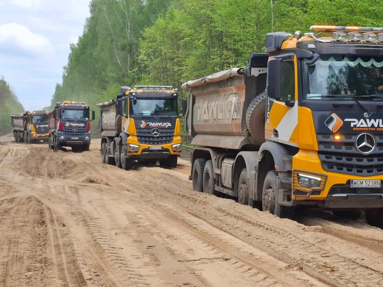 Puszcza Białowieska droga 687