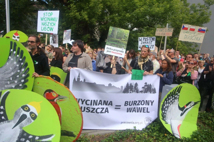 puszcza-krakow-2017-07-04-graff-5854-kadr.jpg