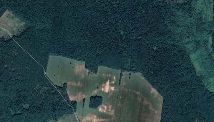 Screenshot_5