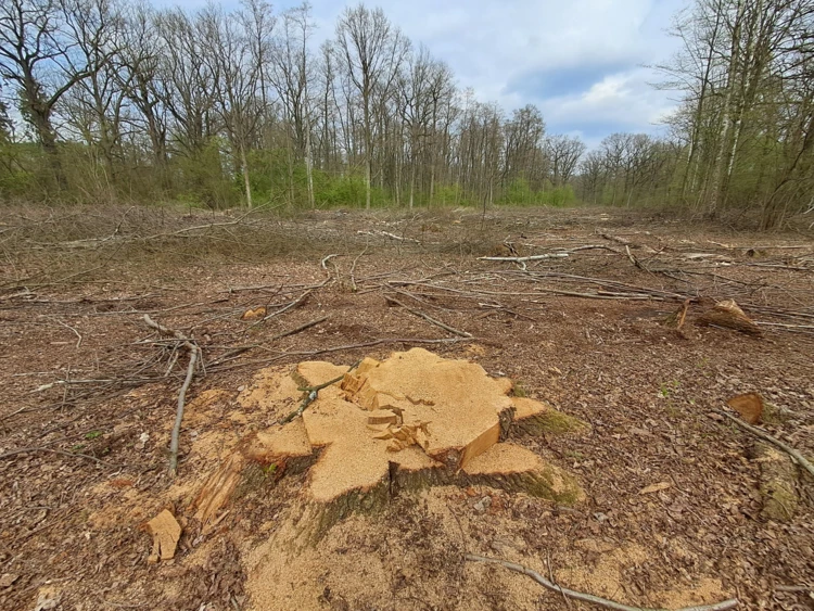 Fot. Agnieszka Płachno (3)