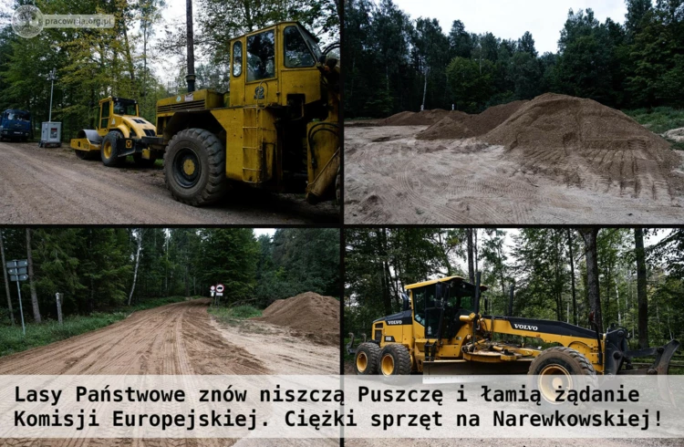 puszcza-narewkowska-wrzesien-674x440.jpg