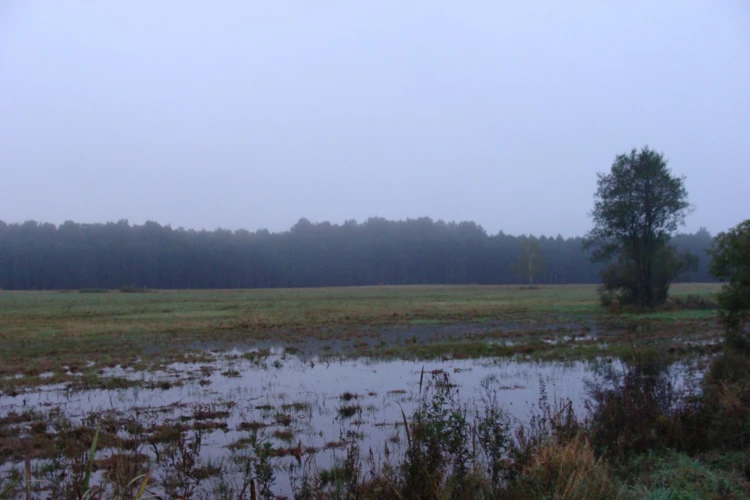 Polecana polana Masiewo. Fot. Weronika Świderska