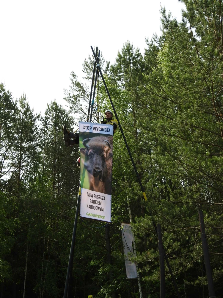 puszcza-blokada-harwester-2017-06-08-dscn2913.JPG