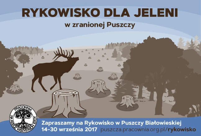 rykowisko-slider-puszcza.jpg