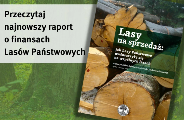 Lasy-na-sprzedaz-raport-2023